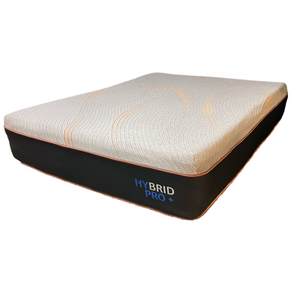 Hybrid Pro+ Plush