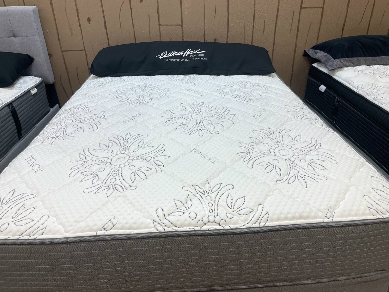 Eastman House Bond Firm All Mattresses, Eastman