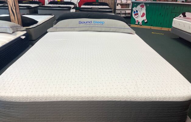 Sound Sleep Products Ted's Bed Mattress
